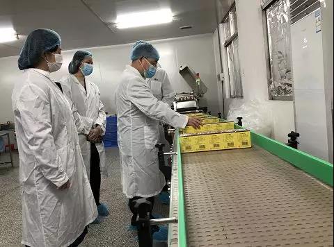同心抗疫，，，，确保质量！银河国际公司振隆厂外车间接受广药集团生产监视包管小组事情督导